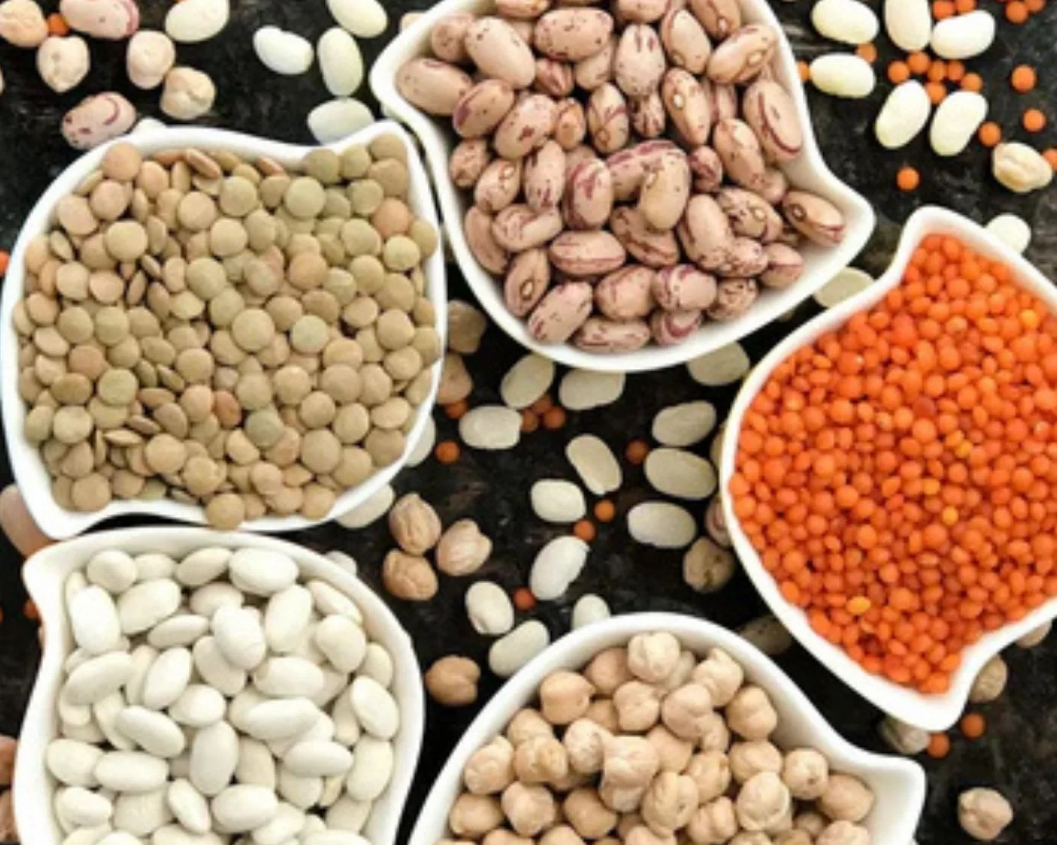 pulses and legumes